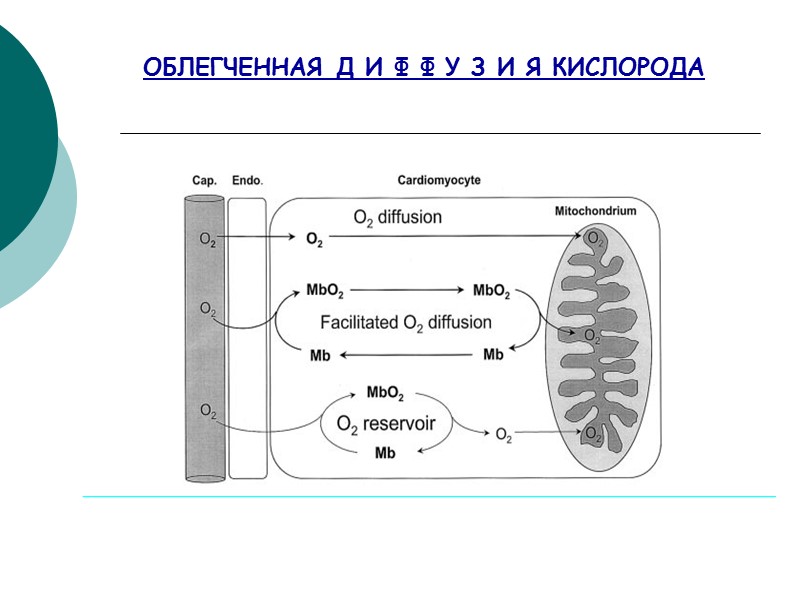 ОБЛЕГЧЕННАЯ Д И Ф Ф У З И Я КИСЛОРОДА